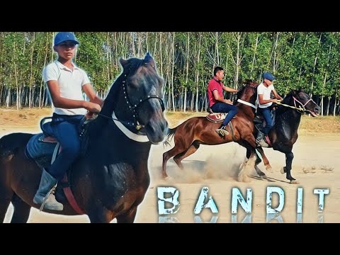 Видео: ОТЛАР СОТИЛАДИ... УЛОГИ БОР ОТЛАР