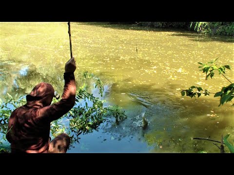 Видео: НА ПОПЛАВОК В ЛУЖЕ ЛОВЛЮ СЕБЕ УЖИН. РЫБАЛКА В ЛЕСНОЙ ГЛУШИ