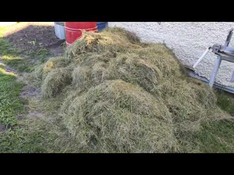 Видео: Заготавливаем мульчу и мульчируем картофель!!!