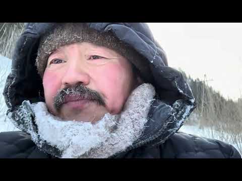 Видео: Сибиир тыатыттан