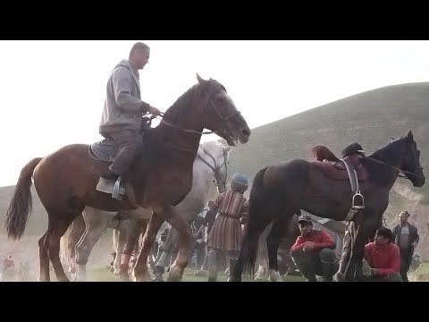 Видео: Бузкаши дар Хамадони (Саркокул) 23.02.2025
