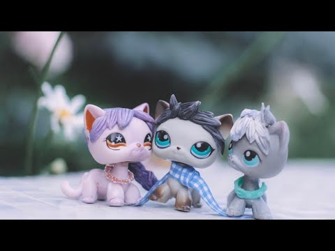 Видео: LPS: МОЯ КОЛЛЕКЦИЯ СТОЯЧИХ КОШЕК //MY SHORTHAIR CATS COLLECTION