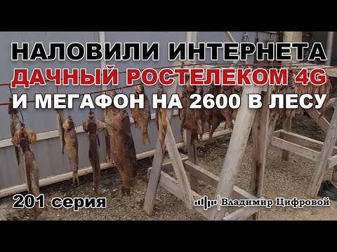 Видео: Наловили интернета! Дачный Ростелеком 4G и Мегафон на 2600 в лесу | Владимир Цифровой | 201 серия