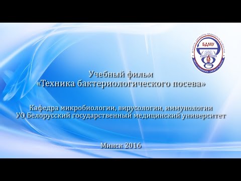 Видео: Техника бактериологического посева