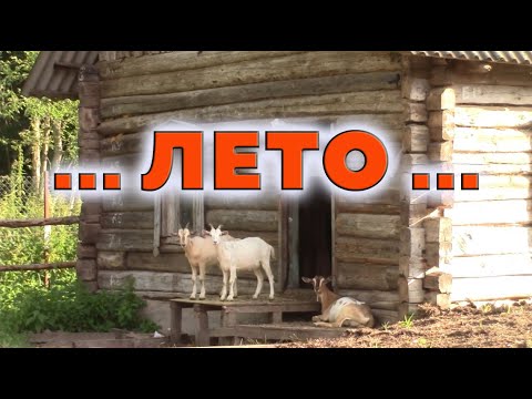 Видео: Лето на хуторе
