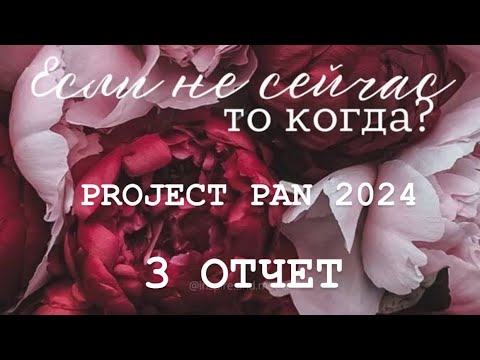 Видео: Бесконечный PROJECT PAN 2024 Отчет 3
