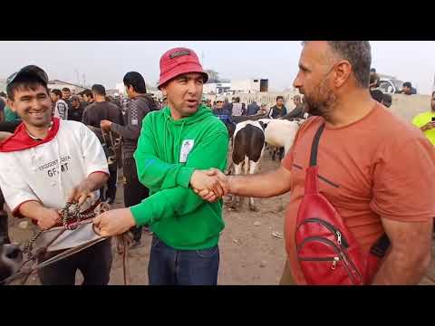 Видео: Панҷшанбе бозори н Ёвон савдои хуб шуд 25 09 2025 #ёвон #молбозор 