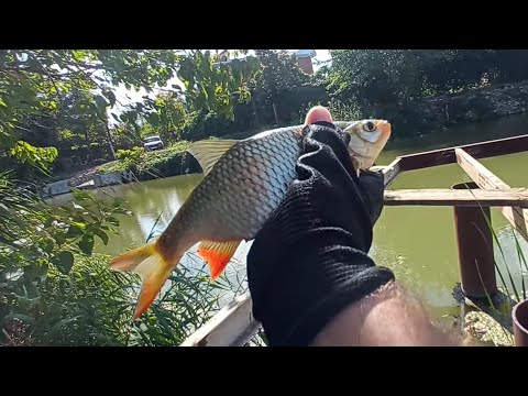 Видео: Мормышинг: рыбалка в новом месте  где водится бель.