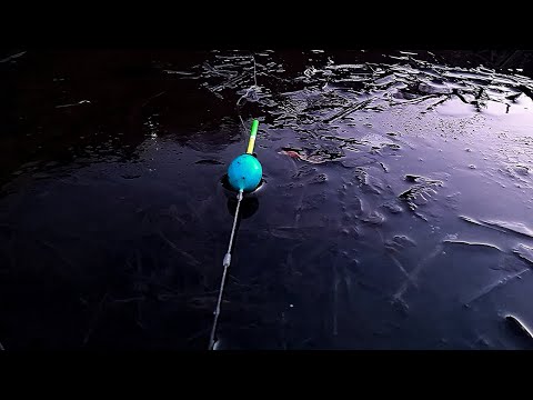 Видео: ЗИМНИ СКОБАРИ. Риболов в ЛЕДЕНА ВОДА