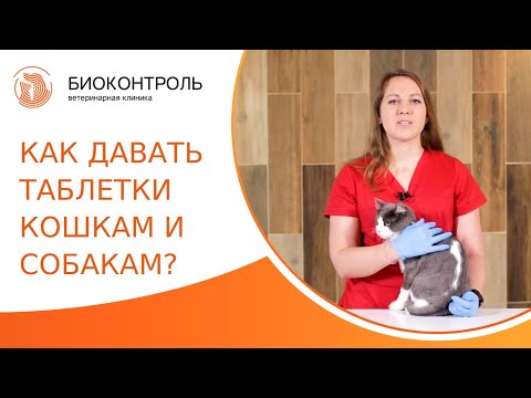 Видео: 💊 Как правильно дать таблетку собаке и кошке? Как дать таблетку собаке и кошке. Биоконтроль. 18+