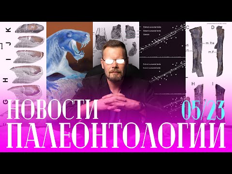 Видео: Сумчатые не примитивные! | Гадрозавры на Чукотке | Челюсти панцирных рыб | Собираемся в экспедиции