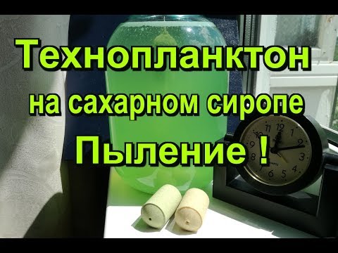 Видео: Технопланктон на сиропе.Пыление в банке.