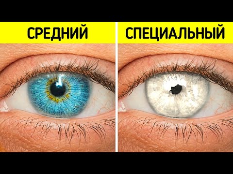 Видео: Твой язык создан как хобот у слона + другие уникальные факты о твоем теле