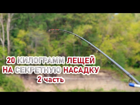 Видео: ЛУЧШАЯ РЫБАЛКА В ЖИЗНИ НА ФИДЕР на леща в августе 2025! часть 2