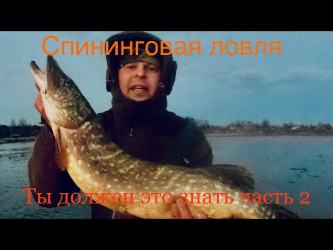 Видео: Рыбалка спининг