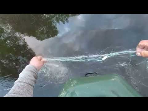 Видео: На  разливе.  Проверяем  сеть...