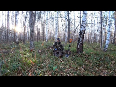 Видео: Мгновенная ответка за неудачные вылазки в старые делянки. Что побросали лесорубы?