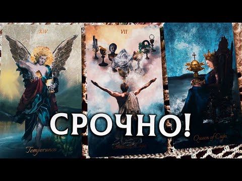 Видео: СРОЧНО! СИЛЫ РОДА ХОТЯТ ВАМ СКАЗАТЬ  ЭТО!