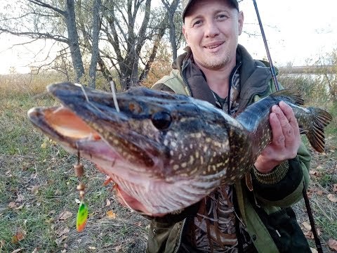 Видео: МЕПС АГЛИЯ РУЛИТ.