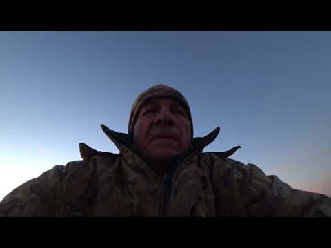 Видео: Охота на Огаря в полях 2