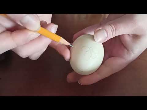 Видео: Як написати писанку  Поділ писанки, частина 2