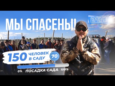 Видео: Люди пришли на помощь в яблоневый сад! Включаем “турбо-режим”. Закладка сада с нуля / Антон Пермяков