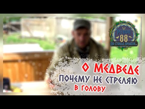 Видео: Регион 88 | О медведе, почему я не стреляю зверя в голову