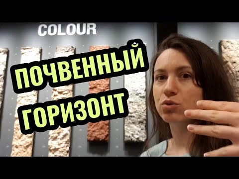 Видео: Почвенные горизонты в профиле почвы