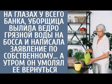 Видео: На глазах банка уборщица окатила ведром грязной воды шефа и уволилась… А утром он молил ее вернуться
