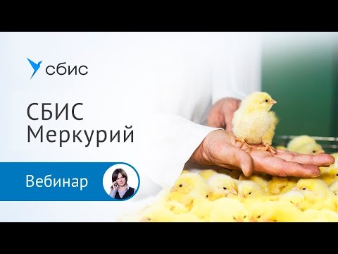 Видео: СБИС Меркурий - комплексное решение для обработки ВСД