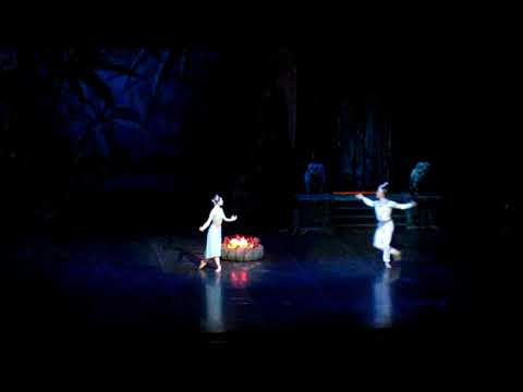 Видео: Баядерка. 21 10 2018