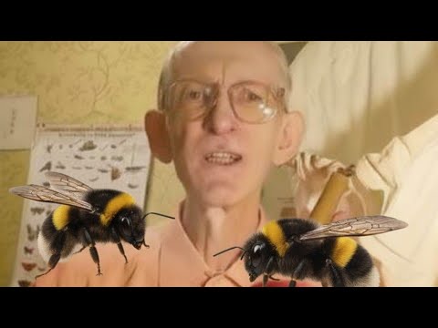 Видео: ЭНТОМОЛОГ ПРО ПАЛОЧНИКОВ, БАБОЧКУ РОТШИЛЬДИЯ И КОЛЛЕКЦИЮ ЖУКОВ, ОС, ПЧЕЛ И НОВЫЕ ДЛЯ НАУКИ ВИДЫ.