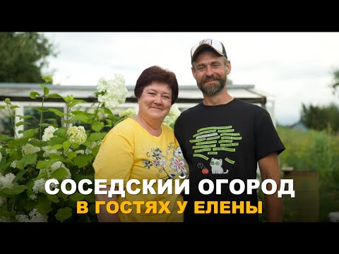 Видео: СОСЕДСКИЙ ОГОРОД. ОГОРОД НЕ МЕНЬШЕ МОЕГО. В гостях у моих родственников.