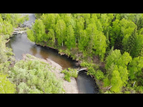 Видео: Река Береш. Весенний лес. Фантом рулит.