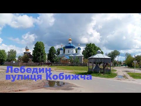 Видео: Лебедин улица Кобижча