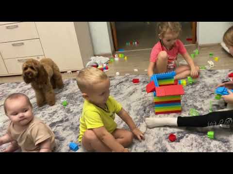 Видео: ВЕЧЕР В МНОГОДЕТНОЙ СЕМЬЕ. 9.11.25.