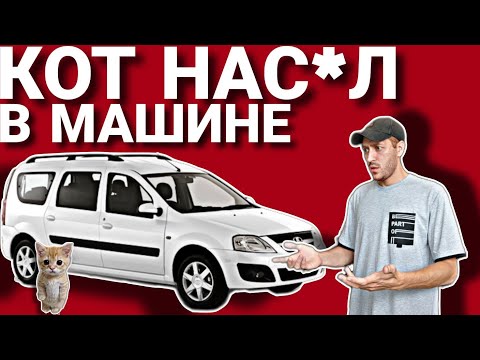 Видео: ПЕРВАЯ СМЕНА НА ЛИЧНОМ ЛАРГУСЕ В ТАРИФЕ ГРУЗОВОЙ ЯНДЕКС МАЛЫЙ КУЗОВ