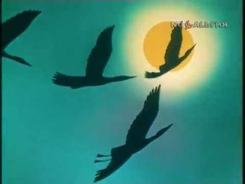 Видео: В мире животных — заставка (1974-2000) [480p]