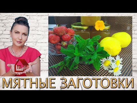 Видео: Заготовки из МЯТЫ🌱 Джем, Варенье, Сироп? Эксперимент. Как приготовить?