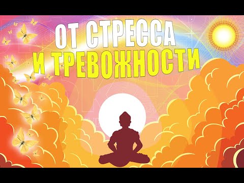 Видео: 5 лучших упражнений от стресса и тревожности | ЛФК