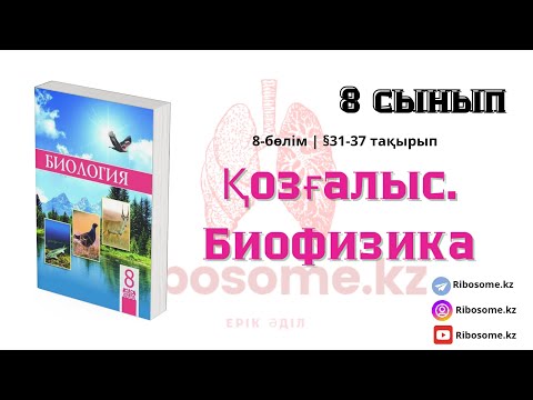 Видео: 8-сынып Қозғалыс. Биофизика §31-37 тақырып 8-бөлім / Ribosome.kz / Ерік Әділ