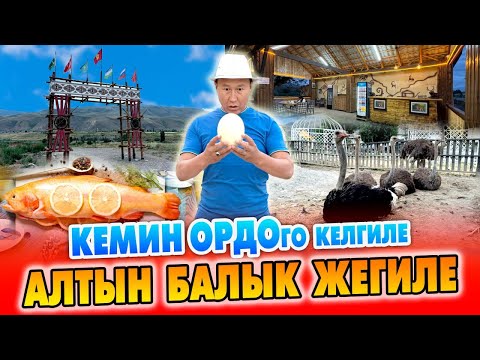 Видео: Элдин баары эми АЛТЫН БАЛЫККА агылып барабы? ~ КЕМИН ОРДО эс алуу комплекси жаңы АЧЫЛДЫ ~ КЕЛИҢИЗДЕР