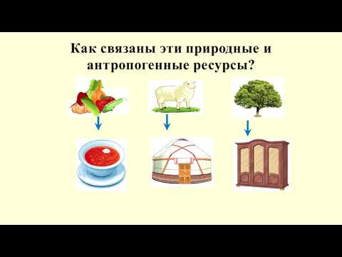 Видео: III - четверть, Естествознание, 2 класс, Урок №17
