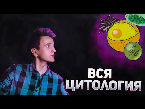 Видео: ЦИТОЛОГИЯ ЗА 15 МИНУТ | ЕГЭ БИОЛОГИЯ 2023