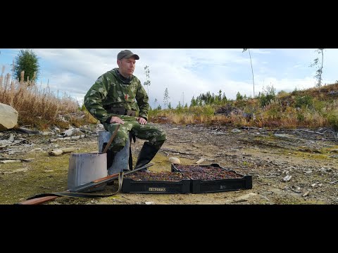 Видео: СБОР ЧЕРНИКИ / ЧЕРНИКУ ГРАБЛЯМИ / ЯГОДЫ КАРЕЛИИ / МОРЕ ЧЕРНИКИ  / СБОР ДИКОРОСОВ
