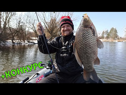 Видео: КАРАСЬ МОНСТР ЧУТЬ НЕ СЛОЖИЛ НОВЫЙ УЛЬТРИК! Рыбалка на спиннинг 2021! Ловля окуня весной на джиг