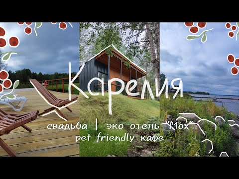 Видео: VLOG #15 | Свадьба | Эко-отель | Pet friendly кафе