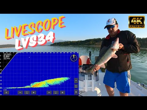 Видео: Livescope LVS34 Plus. Риболов на бели риби 07.2024 г.