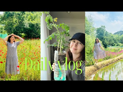Видео: Няколко дни с мен/ Корея Влог