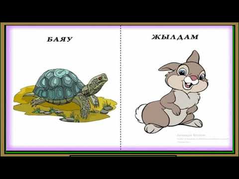 Видео: Жж дыбысы мен әрпі 62-сабақ 1 сынып  әліппе